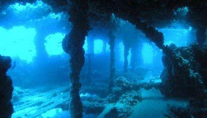 Immersioni sui Relitti